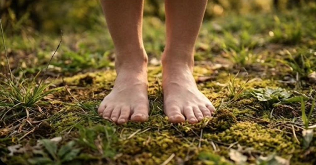 Earthing & Grounding-lamiaterra